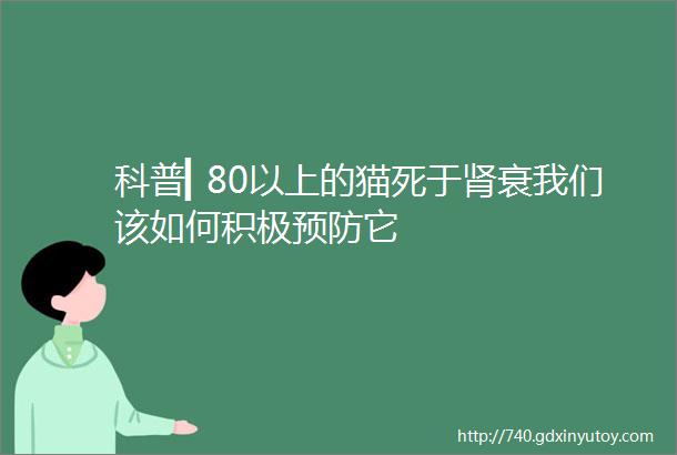 科普▎80以上的猫死于肾衰我们该如何积极预防它